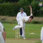 cricket-724618_960_720