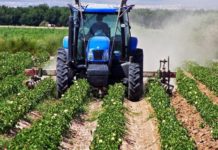 Αγρότες του ειδικού καθεστώτος του άρθρου 41 του Κώδικα ΦΠΑ & Ενισχύσεις de minimis