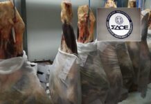 ΣΔΟΕ: Κατασχέθηκαν 7 τόνοι ακατάλληλου κρέατος που θα κατέληγαν σε νοσοκομεία, ΚΥΤ, στρατόπεδα
