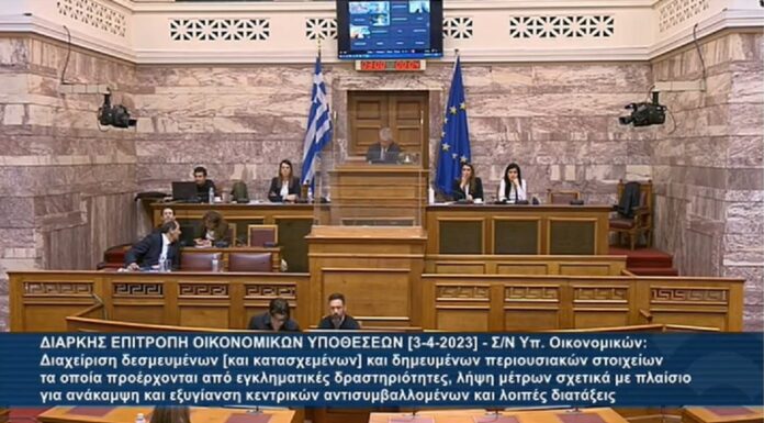 ΟΜΙΛΙΑ ΤΗΣ ΠΡΟΕΔΡΟΥ ΤΗΣ ΠΟΕ-ΔΟΥ ΣΤΗΝ ΔΙΑΡΚΗ ΕΠΙΤΡΟΠΗ ΟΙΚΟΝΟΜΙΚΩΝ ΥΠΟΘΕΣΕΩΝ ΤΗΣ ΒΟΥΛΗΣ ΓΙΑ ΣΔΟΕ & ΚΤΗΜΑΤΙΚΕΣ